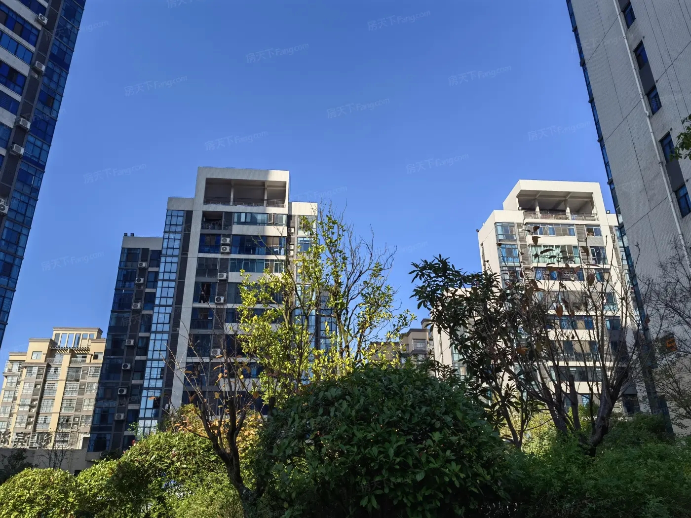 1733383582891223.jpg 8a15fd640d95febd4c2f35c0f6622942_1400x1050_t=1.jpg